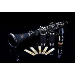 Glory GLY-PBK Clarinete profesional | Kit de accesorios de Clarinete para presentaciones