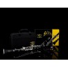 Glory GLY-PBK Clarinete profesional | Kit de accesorios de Clarinete para presentaciones