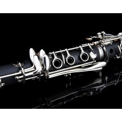 Glory GLY-PBK Clarinete profesional | Kit de accesorios de Clarinete para presentaciones