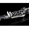 Glory GLY-PBK Clarinete profesional | Kit de accesorios de Clarinete para presentaciones