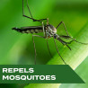 STEM Repels Mosquitos: Spray repelente | Echo de extractos botanicos