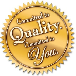 Elegant Comfort - Manta de invierno con diseño navideño | Manta aterciopelada y hipoalergenica con diseño navideño