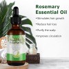 Aceite esencial de romero para el crecimiento del cabello, aceite de romero orgánico 100% puro para cejas y pestañas, nutre el