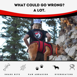 Fido Pro Airlift - Arnés de rescate de perros | Arnes especial para rescates de perros o mascotas