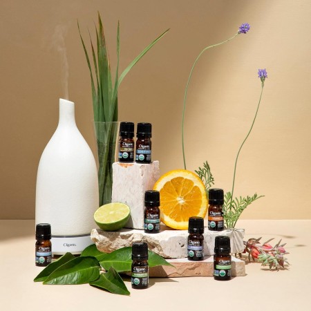 Cliganic Aceite esencial de albahaca orgánica, 100% puro y natural para aromaterapia | Con verificación sin OMG