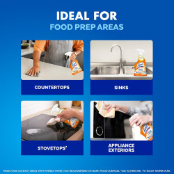 Lysol Limpiador y desengrasante Pro Kitchen en aerosol