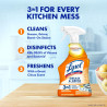 Lysol Limpiador y desengrasante Pro Kitchen en aerosol