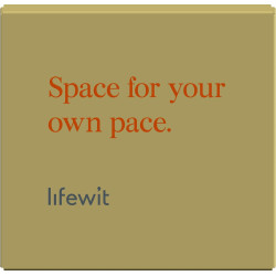 Lifewit Dispensador de arroz | Dispensador de arroz para cocina