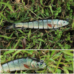 TRUSCEND - Señuelos de pesca | Señuelos realistas de hundimiento lento para pesca