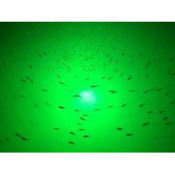Paquete de luz para atraer peces | Luces verdes de muelle para atraer peces