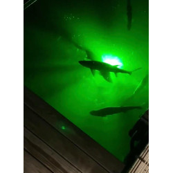 Paquete de luz para atraer peces | Luces verdes de muelle para atraer peces
