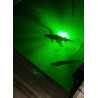 Paquete de luz para atraer peces | Luces verdes de muelle para atraer peces