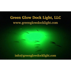 Paquete de luz para atraer peces | Luces verdes de muelle para atraer peces