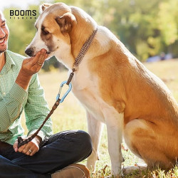 Booms Fishing CC5 - Clips de mosquetón multiusos | Mosquetones multiuso para actividades al aire libre