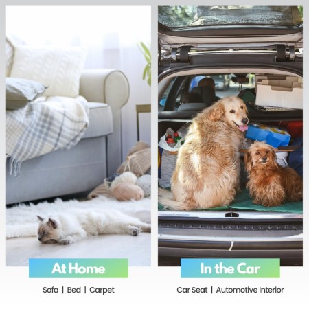 Analan - Removedor miniatura de pelo de mascotas, de gato o de perro. Cepillo para limpiar las telas del auto, el sofá, el hogar