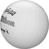 WILSON AVP Soft Play Volleyball - Official Size