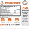 Genius Mushroom – Melena de león, Cordyceps y Reishi – Mejorador del sistema inmunitario y suplemento cerebral nootrópico –